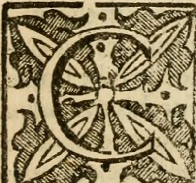 An illustration from De Novo orbe, or, the historie of the West Indies : contayning the actes and adventures of the Spanyardes, which have conquered and peopled those countries, inriched with varietie of pleasant relation of the manners, ceremonies, lawes, gouernments, and warres of the Indians, 1612, leaf 52