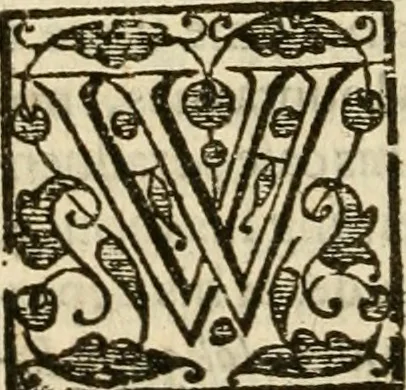 An illustration from De Novo orbe, or, the historie of the West Indies : contayning the actes and adventures of the Spanyardes, which have conquered and peopled those countries, inriched with varietie of pleasant relation of the manners, ceremonies, lawes, gouernments, and warres of the Indians, 1612, leaf 521