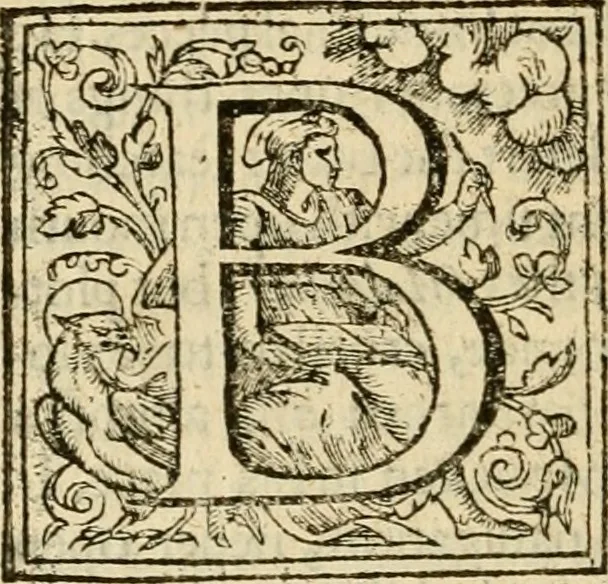 An illustration from De Novo orbe, or, the historie of the West Indies : contayning the actes and adventures of the Spanyardes, which have conquered and peopled those countries, inriched with varietie of pleasant relation of the manners, ceremonies, lawes, gouernments, and warres of the Indians, 1612, leaf 531
