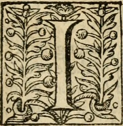 An illustration from De Novo orbe, or, the historie of the West Indies : contayning the actes and adventures of the Spanyardes, which have conquered and peopled those countries, inriched with varietie of pleasant relation of the manners, ceremonies, lawes, gouernments, and warres of the Indians, 1612, leaf 544