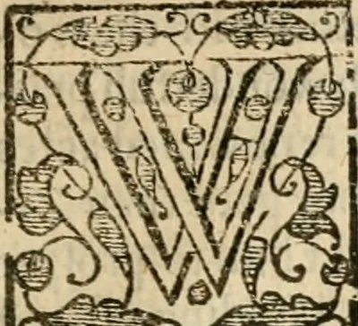 An illustration from De Novo orbe, or, the historie of the West Indies : contayning the actes and adventures of the Spanyardes, which have conquered and peopled those countries, inriched with varietie of pleasant relation of the manners, ceremonies, lawes, gouernments, and warres of the Indians, 1612, leaf 554