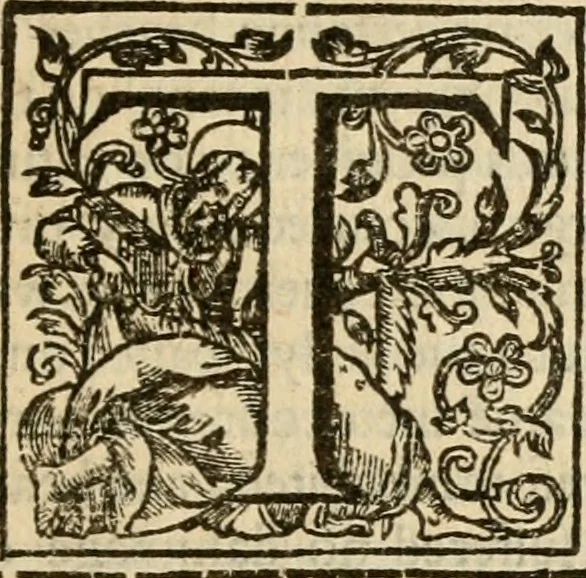 An illustration from De Novo orbe, or, the historie of the West Indies : contayning the actes and adventures of the Spanyardes, which have conquered and peopled those countries, inriched with varietie of pleasant relation of the manners, ceremonies, lawes, gouernments, and warres of the Indians, 1612, leaf 570