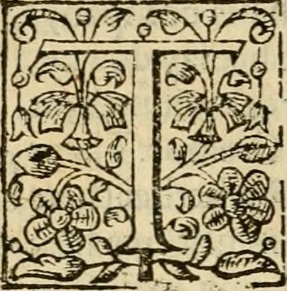 An illustration from De Novo orbe, or, the historie of the West Indies : contayning the actes and adventures of the Spanyardes, which have conquered and peopled those countries, inriched with varietie of pleasant relation of the manners, ceremonies, lawes, gouernments, and warres of the Indians, 1612, leaf 577