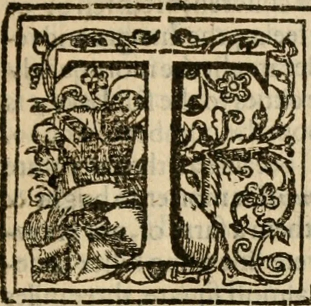 An illustration from De Novo orbe, or, the historie of the West Indies : contayning the actes and adventures of the Spanyardes, which have conquered and peopled those countries, inriched with varietie of pleasant relation of the manners, ceremonies, lawes, gouernments, and warres of the Indians, 1612, leaf 582