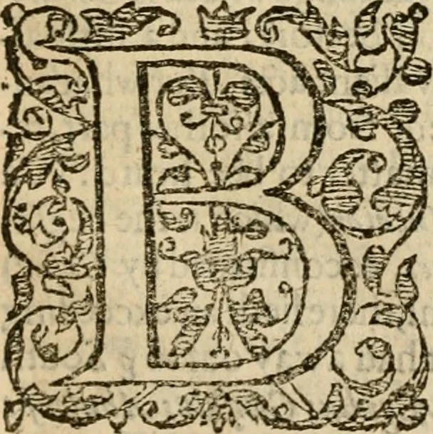 An illustration from De Novo orbe, or, the historie of the West Indies : contayning the actes and adventures of the Spanyardes, which have conquered and peopled those countries, inriched with varietie of pleasant relation of the manners, ceremonies, lawes, gouernments, and warres of the Indians, 1612, leaf 586