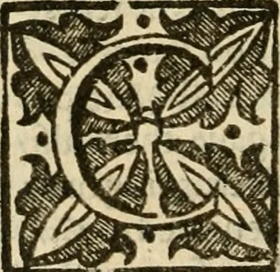 An illustration from De Novo orbe, or, the historie of the West Indies : contayning the actes and adventures of the Spanyardes, which have conquered and peopled those countries, inriched with varietie of pleasant relation of the manners, ceremonies, lawes, gouernments, and warres of the Indians, 1612, leaf 591