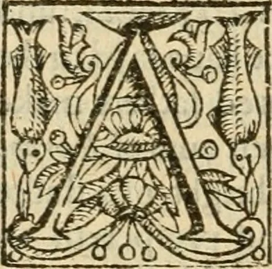 An illustration from De Novo orbe, or, the historie of the West Indies : contayning the actes and adventures of the Spanyardes, which have conquered and peopled those countries, inriched with varietie of pleasant relation of the manners, ceremonies, lawes, gouernments, and warres of the Indians, 1612, leaf 597
