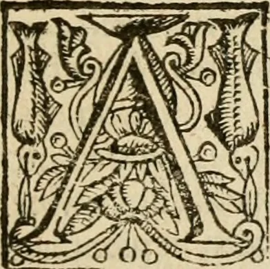 An illustration from De Novo orbe, or, the historie of the West Indies : contayning the actes and adventures of the Spanyardes, which have conquered and peopled those countries, inriched with varietie of pleasant relation of the manners, ceremonies, lawes, gouernments, and warres of the Indians, 1612, leaf 60