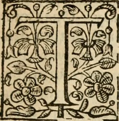An illustration from De Novo orbe, or, the historie of the West Indies : contayning the actes and adventures of the Spanyardes, which have conquered and peopled those countries, inriched with varietie of pleasant relation of the manners, ceremonies, lawes, gouernments, and warres of the Indians, 1612, leaf 606