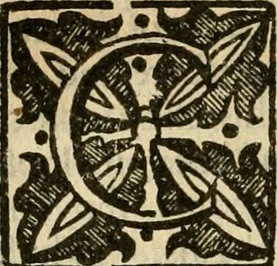 An illustration from De Novo orbe, or, the historie of the West Indies : contayning the actes and adventures of the Spanyardes, which have conquered and peopled those countries, inriched with varietie of pleasant relation of the manners, ceremonies, lawes, gouernments, and warres of the Indians, 1612, leaf 73