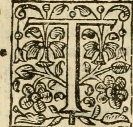 An illustration from De Novo orbe, or, the historie of the West Indies : contayning the actes and adventures of the Spanyardes, which have conquered and peopled those countries, inriched with varietie of pleasant relation of the manners, ceremonies, lawes, gouernments, and warres of the Indians, 1612, leaf 89