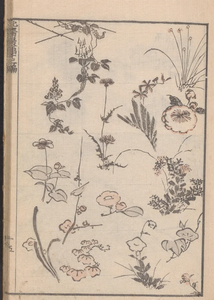 An illustration from Denshin kaishu Hokusai manga, 1828, leaf 16