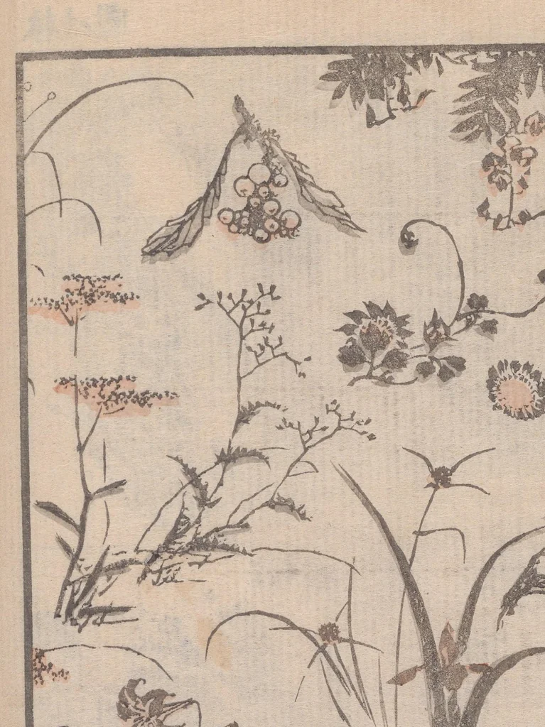 An illustration from Denshin kaishu Hokusai manga, 1828, leaf 16