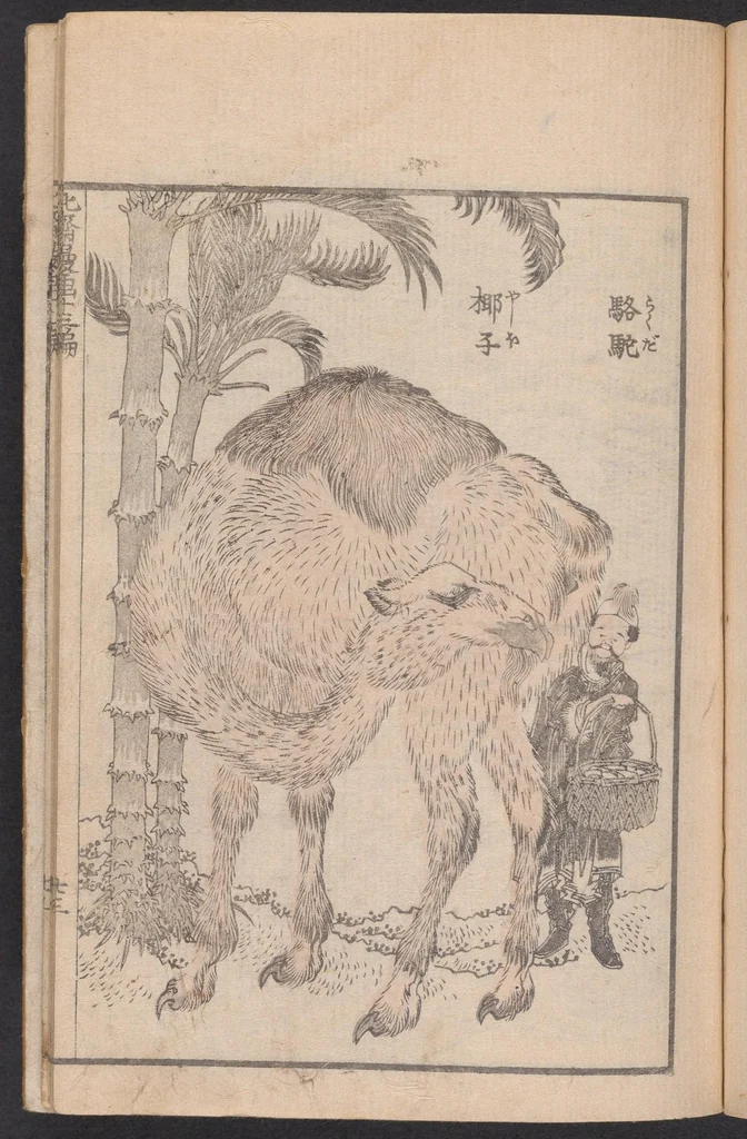 An illustration from Denshin kaishu Hokusai manga, 1828, leaf 24