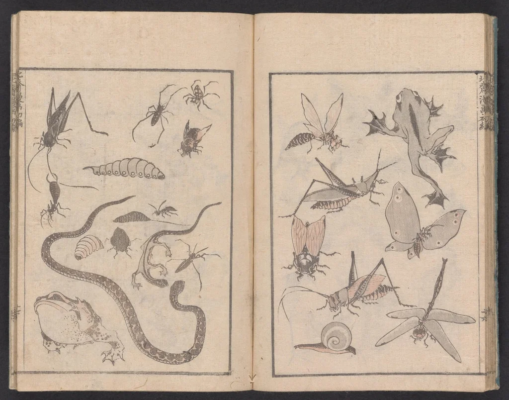 An illustration from Denshin kaishu Hokusai manga, 1780, leaf 19