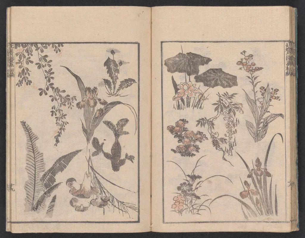 An illustration from Denshin kaishu Hokusai manga, 1780, leaf 21