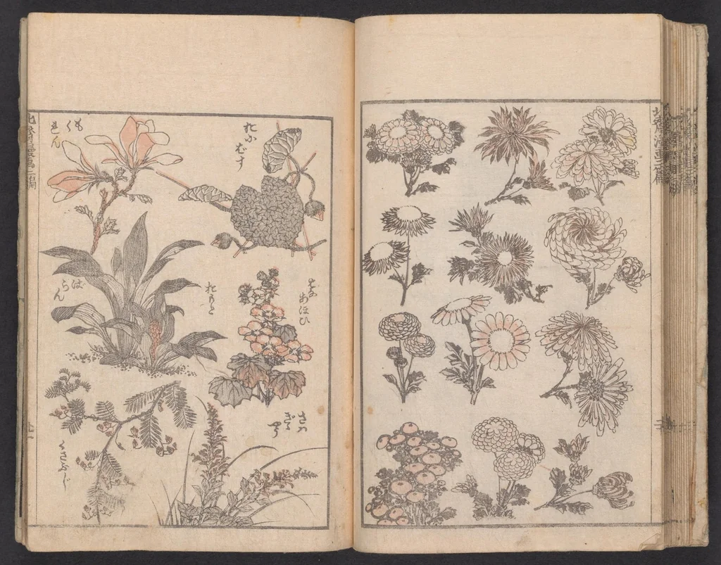 An illustration from Denshin kaishu Hokusai manga, 1780, leaf 23