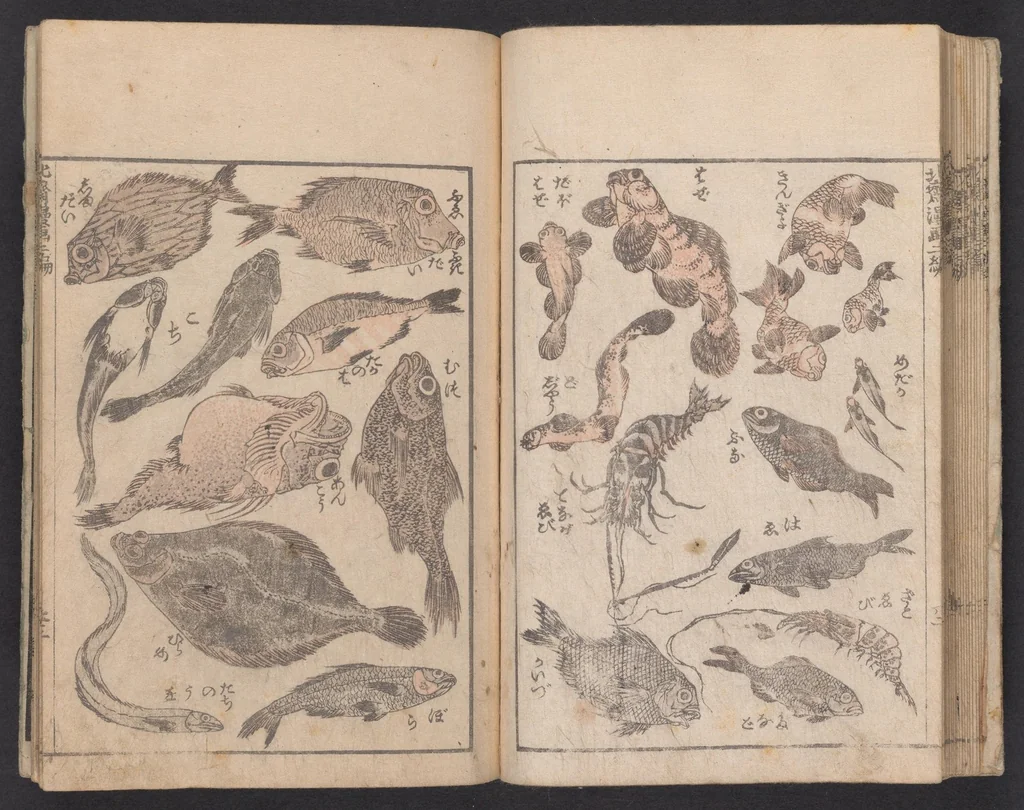 An illustration from Denshin kaishu Hokusai manga, 1780, leaf 25