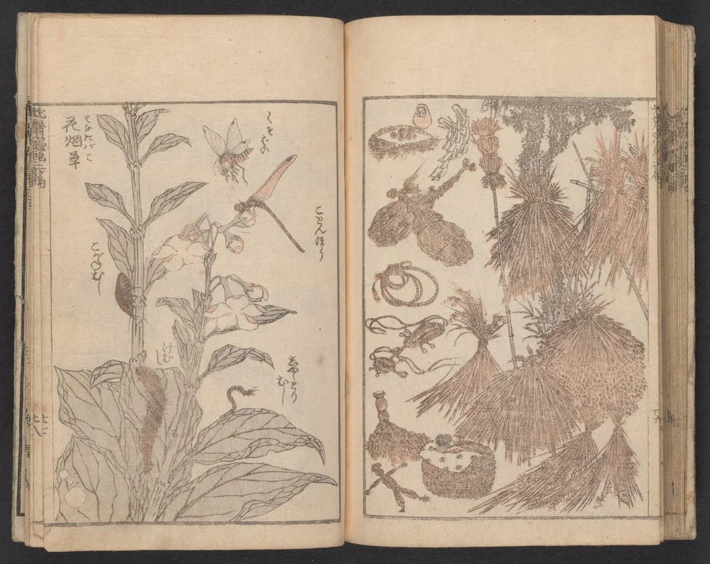 An illustration from Denshin kaishu Hokusai manga, 1780, leaf 29