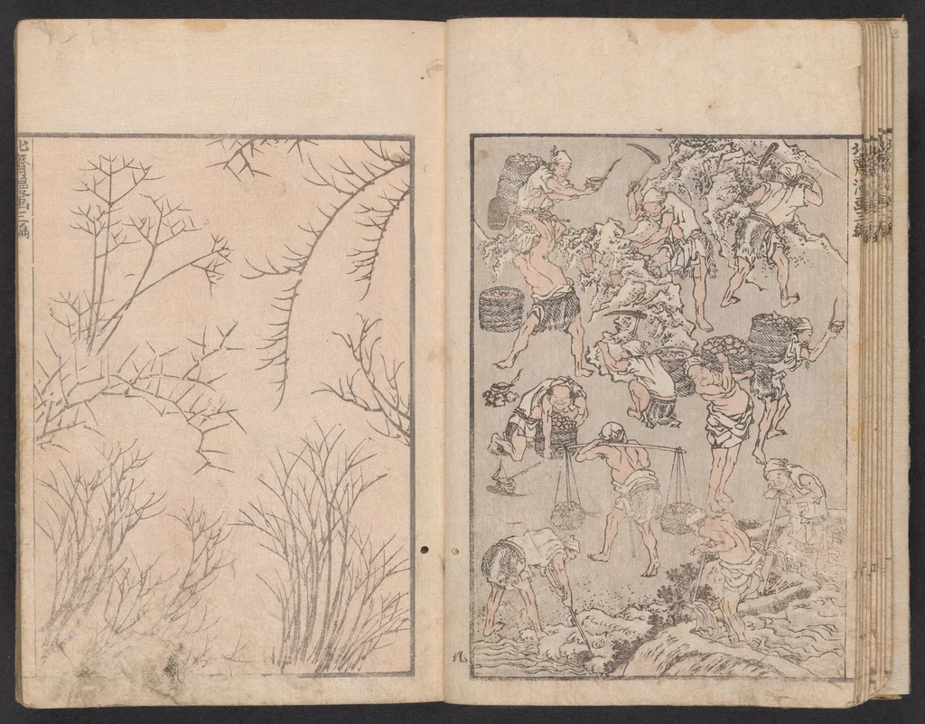 An illustration from Denshin kaishu Hokusai manga, 1780, leaf 11