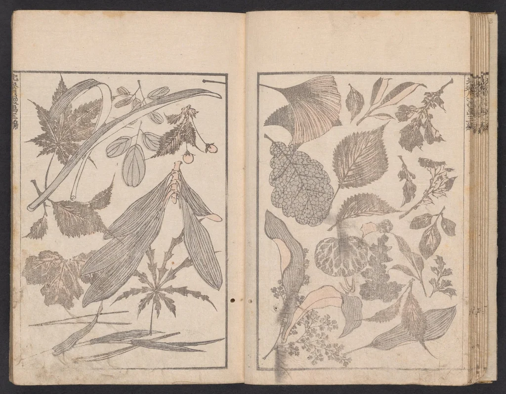 An illustration from Denshin kaishu Hokusai manga, 1780, leaf 12