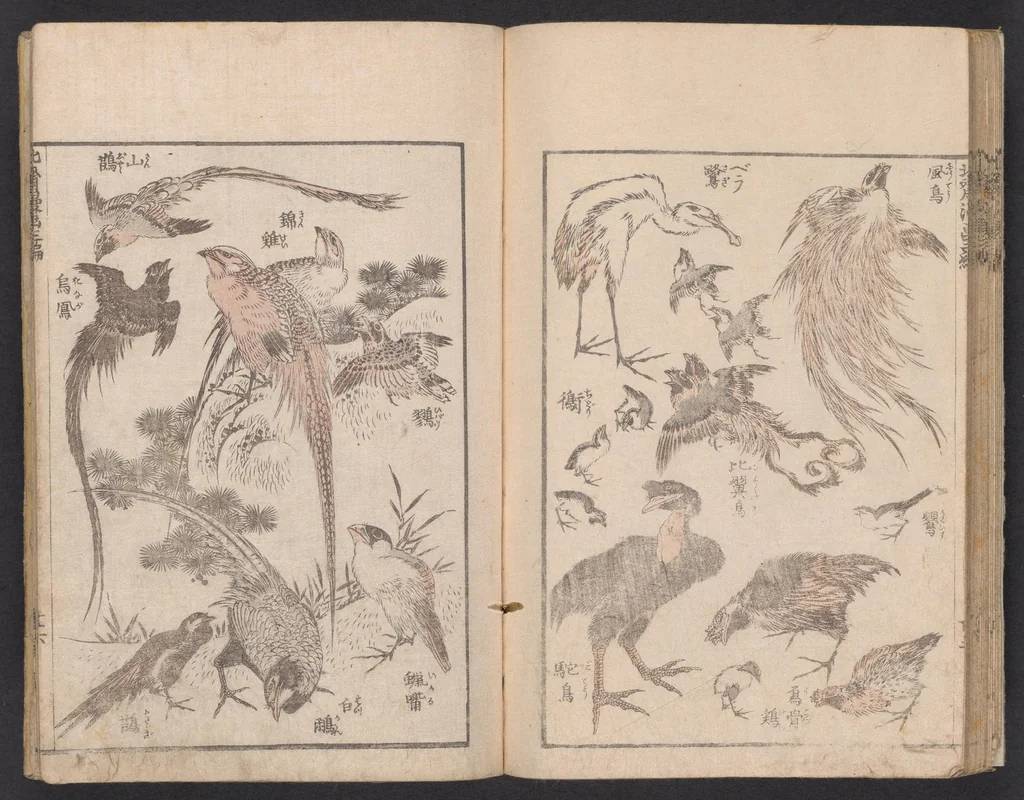 An illustration from Denshin kaishu Hokusai manga, 1780, leaf 27