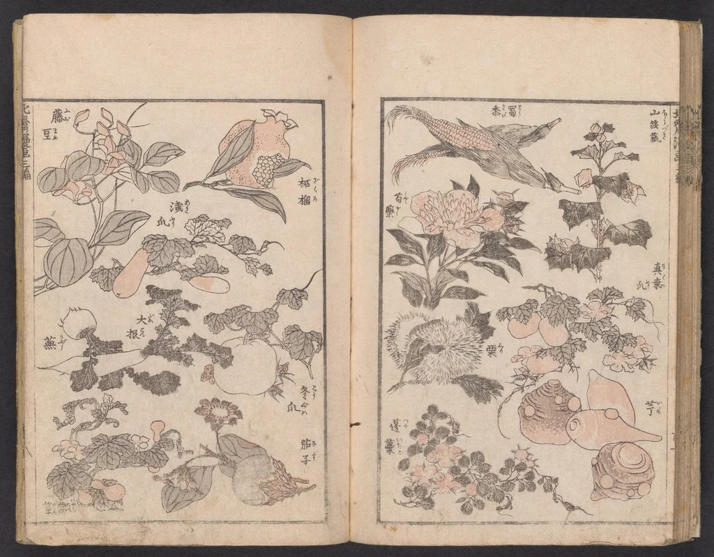 An illustration from Denshin kaishu Hokusai manga, 1780, leaf 29