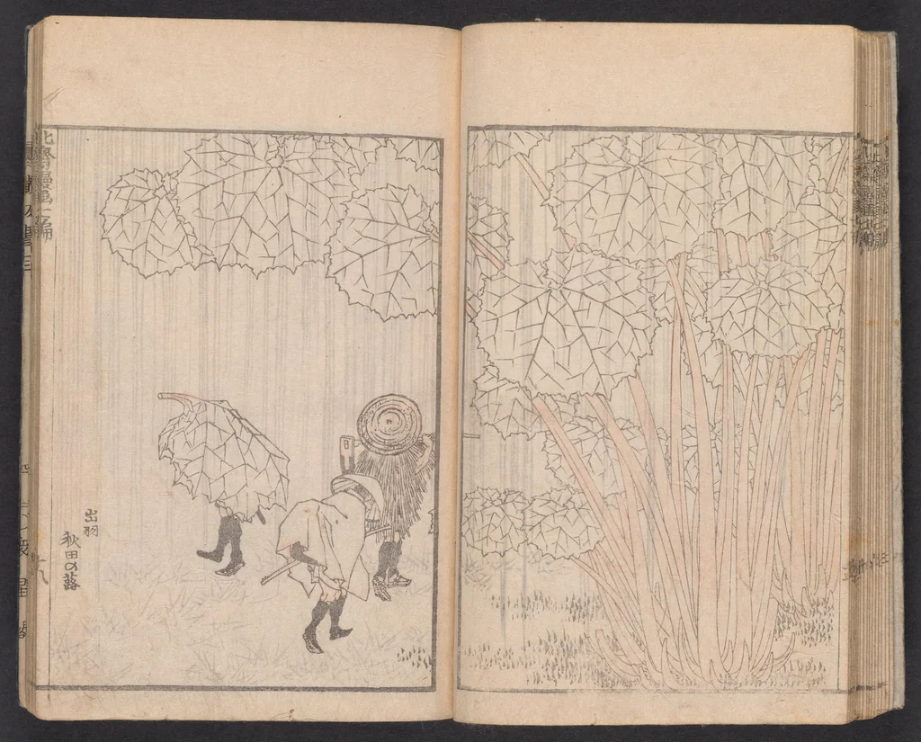 An illustration from Denshin kaishu Hokusai manga, 1780, leaf 19