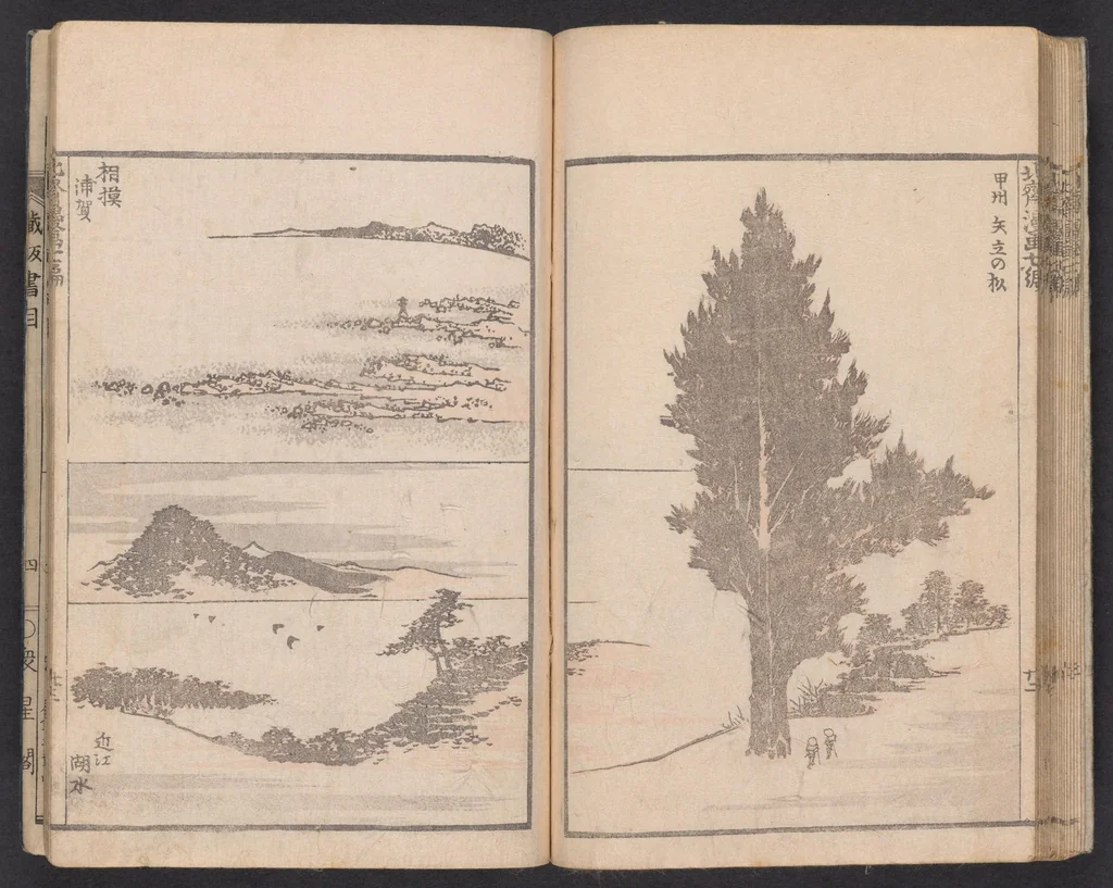 An illustration from Denshin kaishu Hokusai manga, 1780, leaf 24