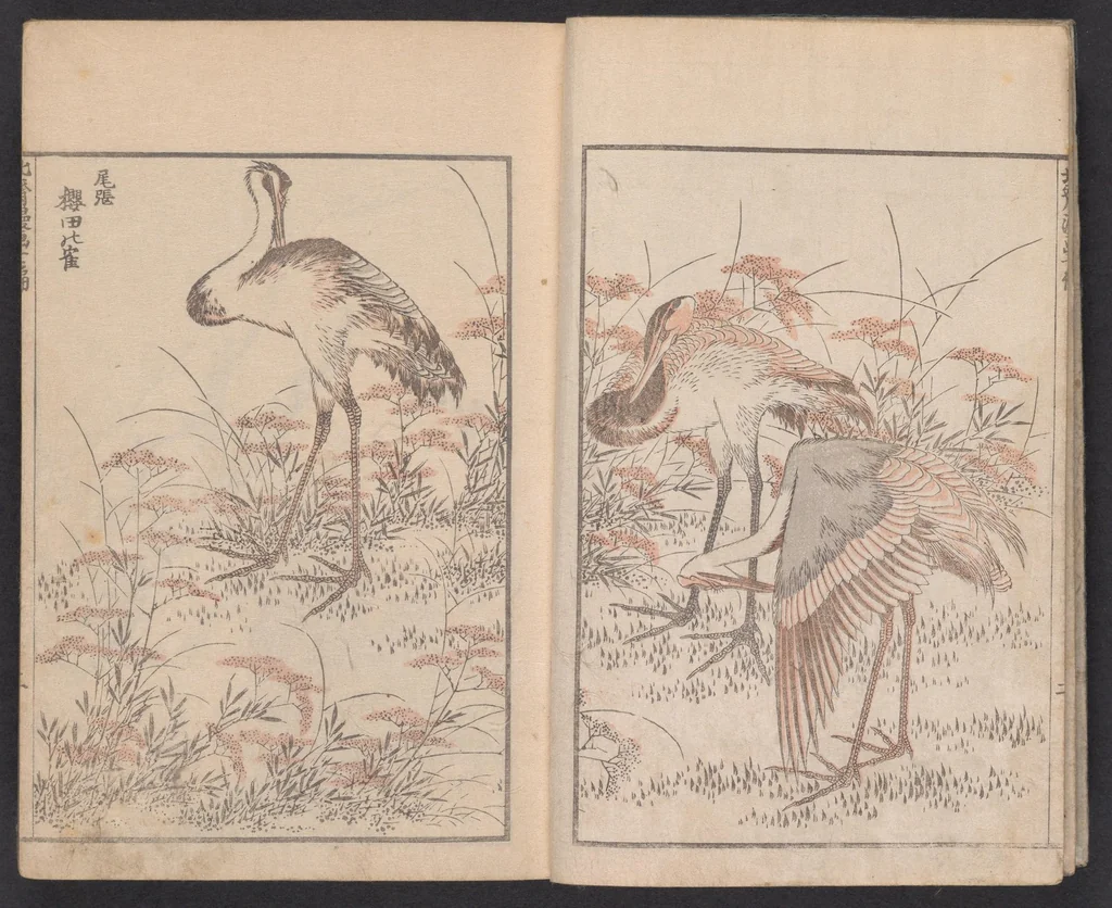 An illustration from Denshin kaishu Hokusai manga, 1780, leaf 4