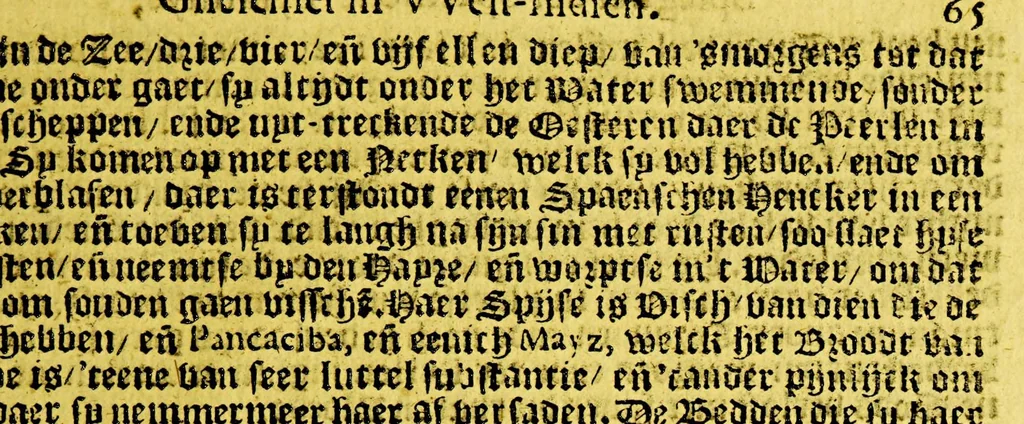 An illustration from Den spiegel der Spaensche tyrannye, gheschiet in West-Indien. : VVaer in te sien is de onmenschelijcke wreede feyten der Spangiaerden ..., 1620, leaf 189
