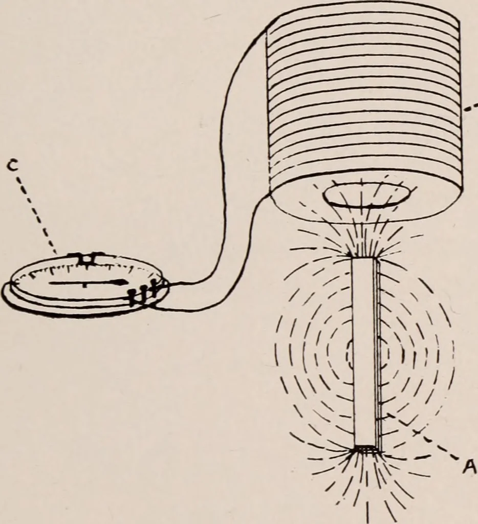 An illustration from Dental and oral radiography : a text book for students and practitioners of dentistry, 1916, leaf 42