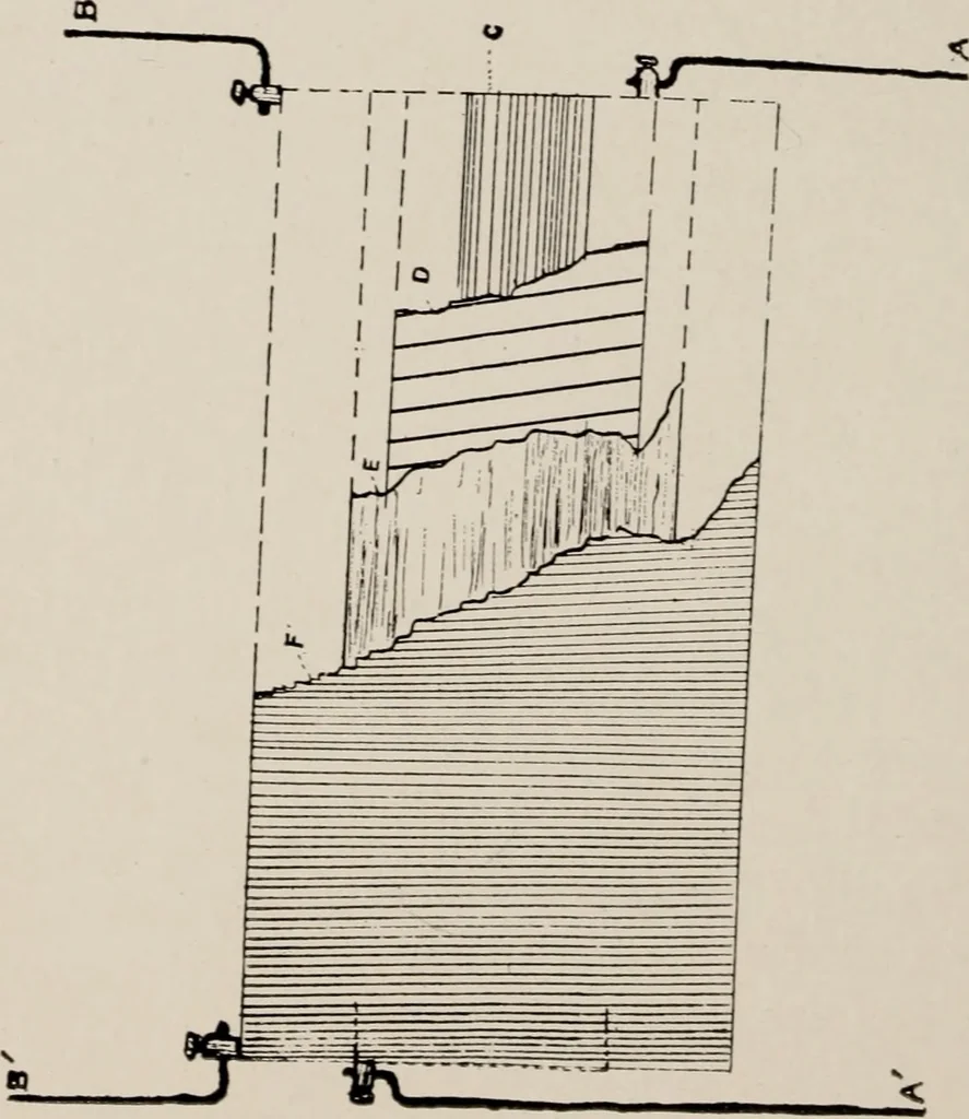 An illustration from Dental and oral radiography : a text book for students and practitioners of dentistry, 1916, leaf 47