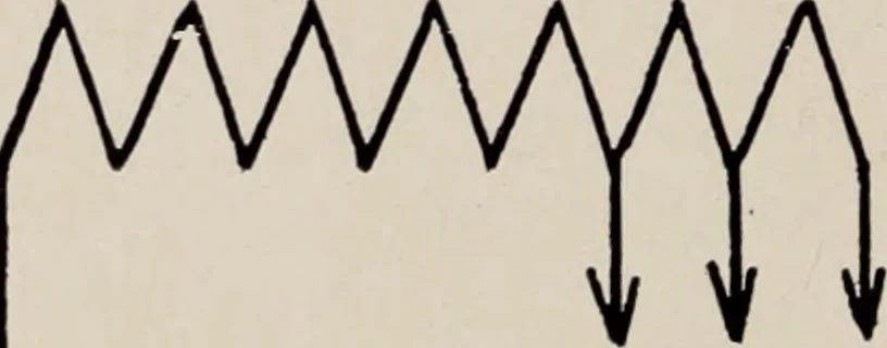 An illustration from Dental and oral radiography : a text book for students and practitioners of dentistry, 1916, leaf 51