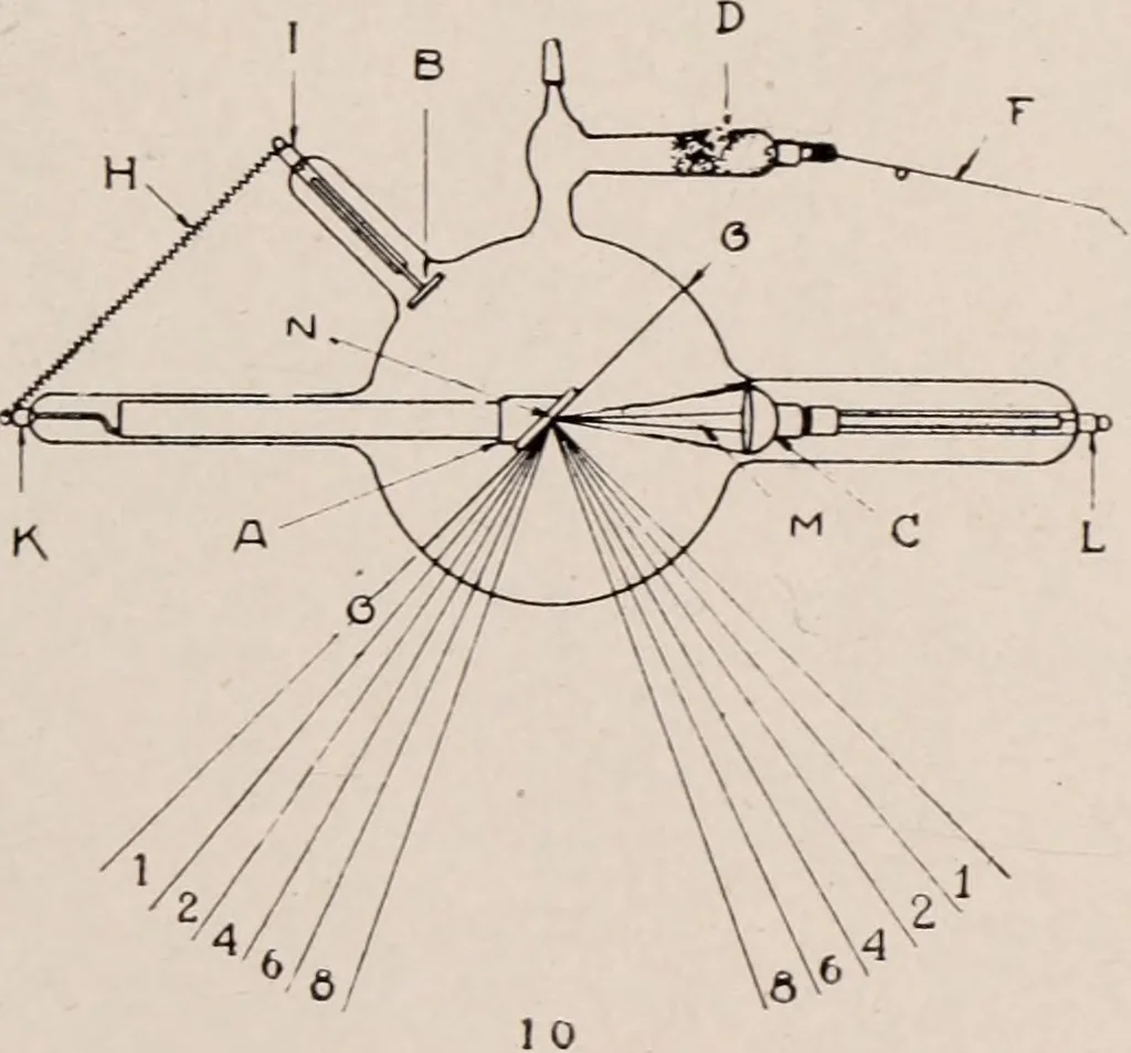 An illustration from Dental and oral radiography : a text book for students and practitioners of dentistry, 1916, leaf 68