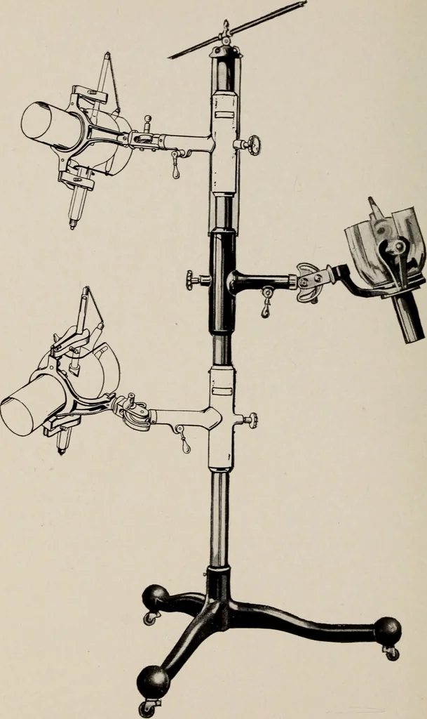 An illustration from Dental and oral radiography : a text book for students and practitioners of dentistry, 1916, leaf 77