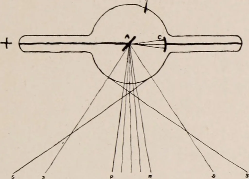 An illustration from Dental and oral radiography : a text book for students and practitioners of dentistry, 1916, leaf 78