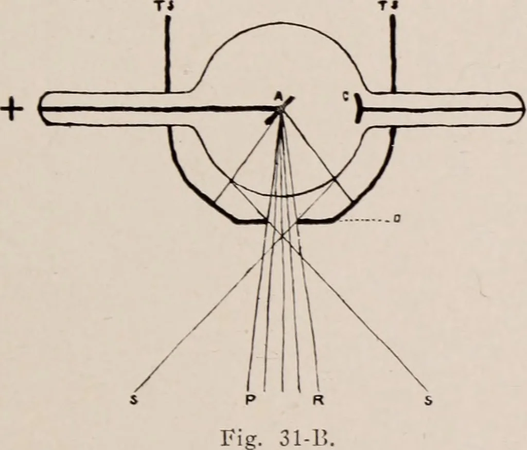 An illustration from Dental and oral radiography : a text book for students and practitioners of dentistry, 1916, leaf 78