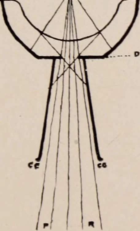An illustration from Dental and oral radiography : a text book for students and practitioners of dentistry, 1916, leaf 78