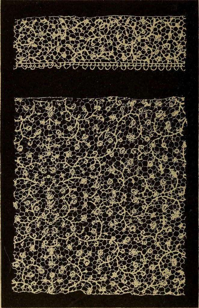 An illustration from Dentelles et guipures : anciennes et modernes, imitations ou copies. Varieté des genres et des points. 52 portraits documentaires, 249 échantillons de dentelles, collerettes, fraises, manchettes, rabats, etc., 1904, leaf 154