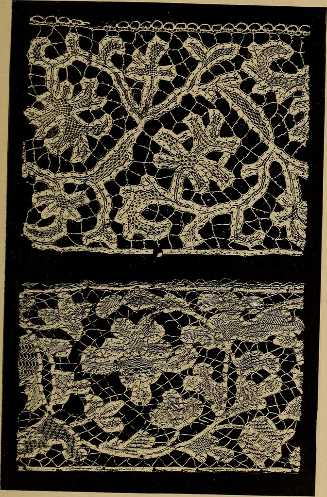 An illustration from Dentelles et guipures : anciennes et modernes, imitations ou copies. Varieté des genres et des points. 52 portraits documentaires, 249 échantillons de dentelles, collerettes, fraises, manchettes, rabats, etc., 1904, leaf 161