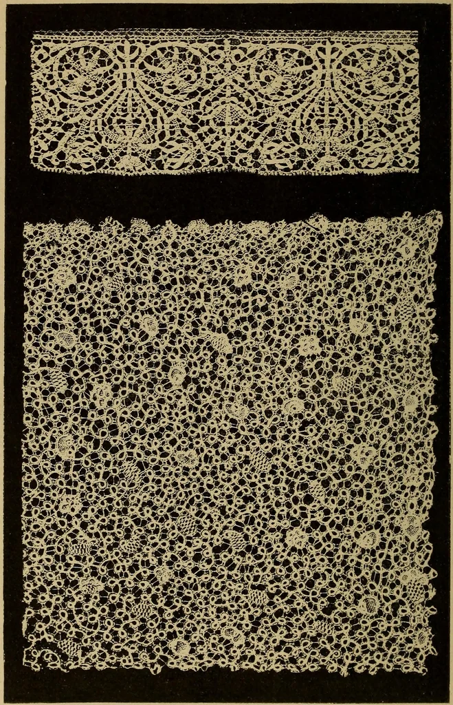 An illustration from Dentelles et guipures : anciennes et modernes, imitations ou copies. Varieté des genres et des points. 52 portraits documentaires, 249 échantillons de dentelles, collerettes, fraises, manchettes, rabats, etc., 1904, leaf 162