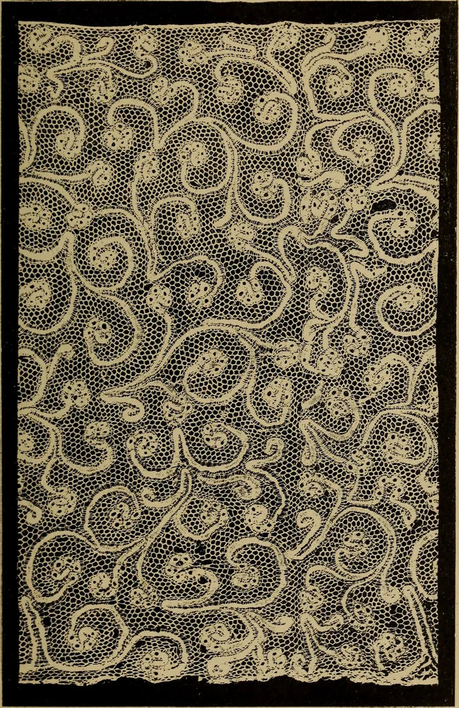 An illustration from Dentelles et guipures : anciennes et modernes, imitations ou copies. Varieté des genres et des points. 52 portraits documentaires, 249 échantillons de dentelles, collerettes, fraises, manchettes, rabats, etc., 1904, leaf 163