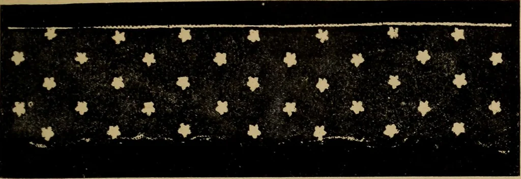 An illustration from Dentelles et guipures : anciennes et modernes, imitations ou copies. Varieté des genres et des points. 52 portraits documentaires, 249 échantillons de dentelles, collerettes, fraises, manchettes, rabats, etc., 1904, leaf 167