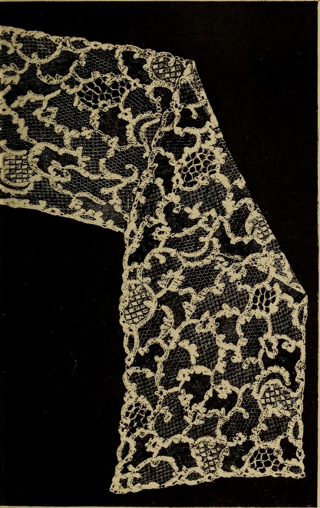 An illustration from Dentelles et guipures : anciennes et modernes, imitations ou copies. Varieté des genres et des points. 52 portraits documentaires, 249 échantillons de dentelles, collerettes, fraises, manchettes, rabats, etc., 1904, leaf 215