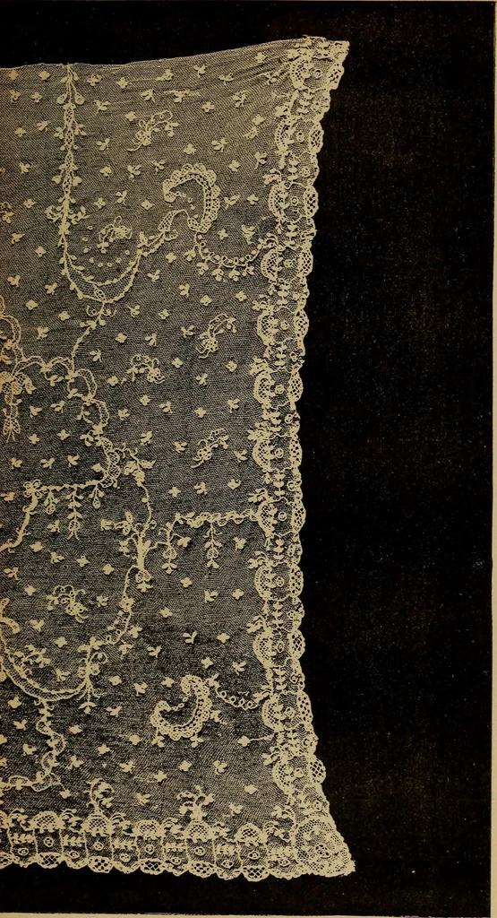An illustration from Dentelles et guipures : anciennes et modernes, imitations ou copies. Varieté des genres et des points. 52 portraits documentaires, 249 échantillons de dentelles, collerettes, fraises, manchettes, rabats, etc., 1904, leaf 271