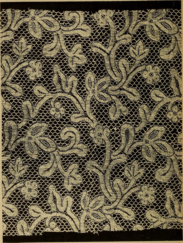 An illustration from Dentelles et guipures : anciennes et modernes, imitations ou copies. Varieté des genres et des points. 52 portraits documentaires, 249 échantillons de dentelles, collerettes, fraises, manchettes, rabats, etc., 1904, leaf 312