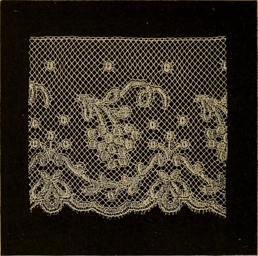 An illustration from Dentelles et guipures : anciennes et modernes, imitations ou copies. Varieté des genres et des points. 52 portraits documentaires, 249 échantillons de dentelles, collerettes, fraises, manchettes, rabats, etc., 1904, leaf 318