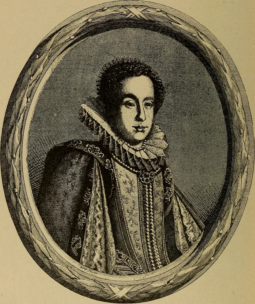 An illustration from Dentelles et guipures : anciennes et modernes, imitations ou copies. Varieté des genres et des points. 52 portraits documentaires, 249 échantillons de dentelles, collerettes, fraises, manchettes, rabats, etc., 1904, leaf 48