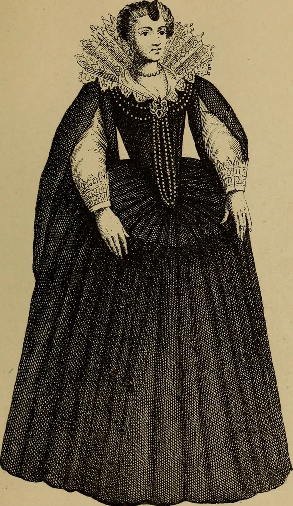 An illustration from Dentelles et guipures : anciennes et modernes, imitations ou copies. Varieté des genres et des points. 52 portraits documentaires, 249 échantillons de dentelles, collerettes, fraises, manchettes, rabats, etc., 1904, leaf 53